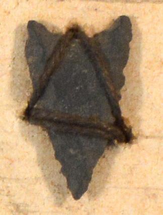 V C 7365
