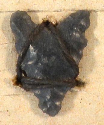 V C 7369