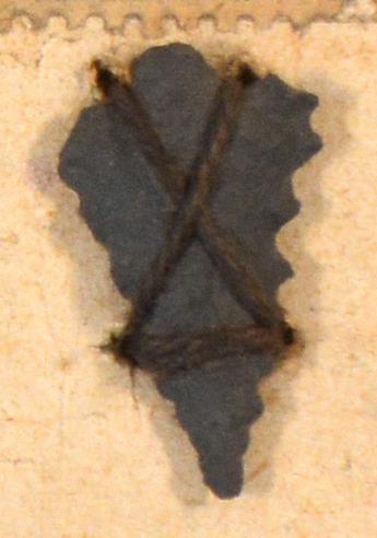 V C 7384