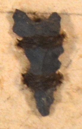 V C 7395
