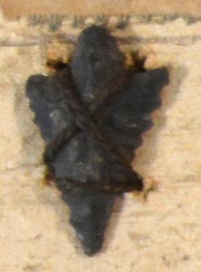 V C 7398