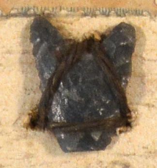 V C 7403