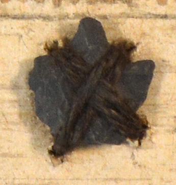 V C 7405
