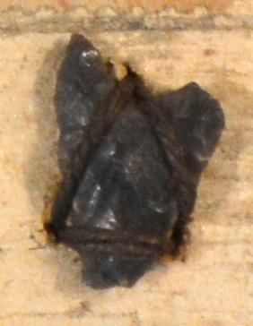 V C 7406