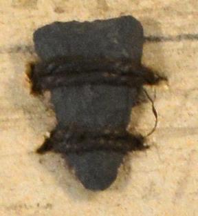 V C 7420