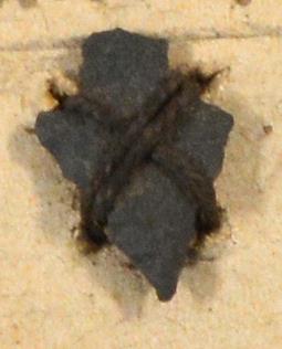 V C 7421