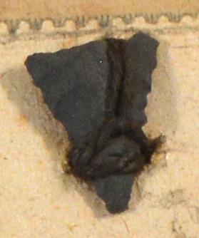 V C 7423