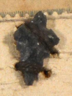 V C 7424