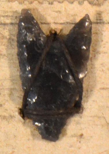 V C 7426
