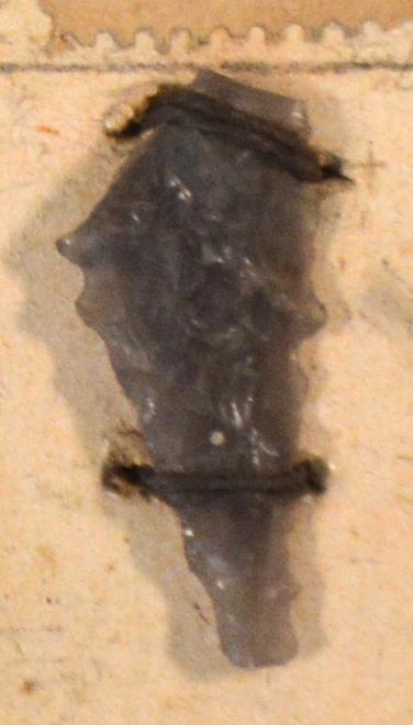 V C 7427