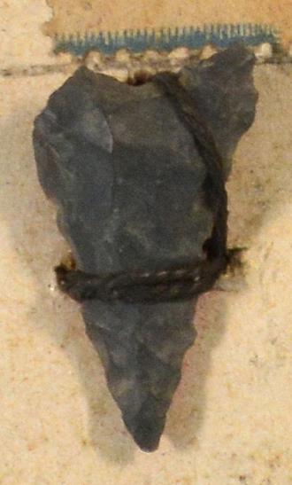 V C 7433