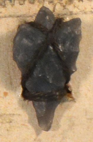 V C 7437