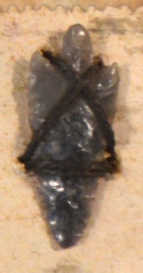 V C 7439