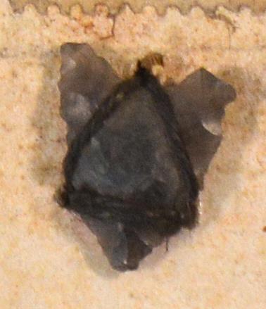 V C 7452