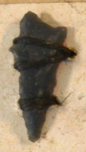 V C 7469