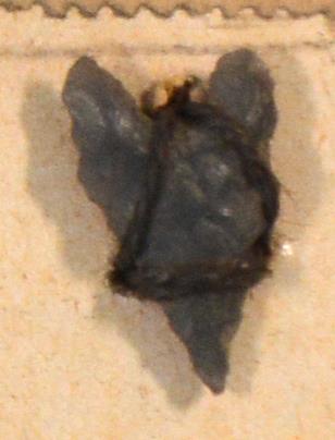 V C 7482