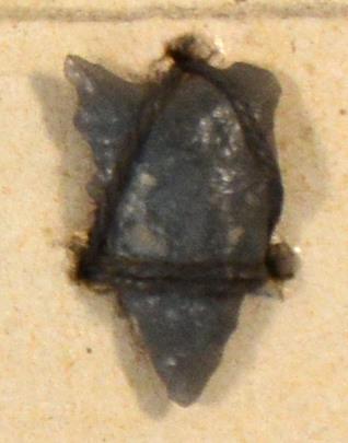 V C 7506
