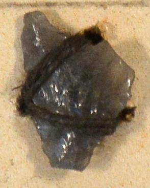 V C 7519