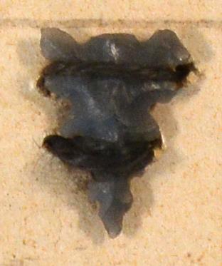 V C 7534