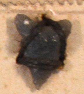 V C 7537