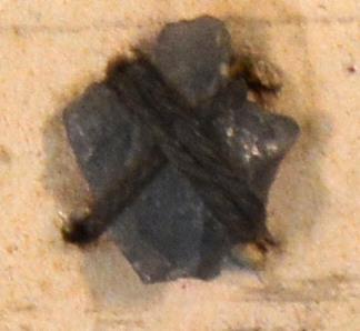 V C 7555