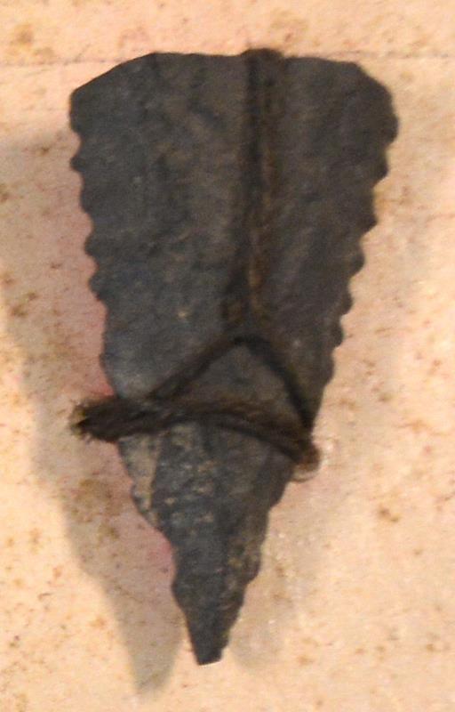 V C 7759