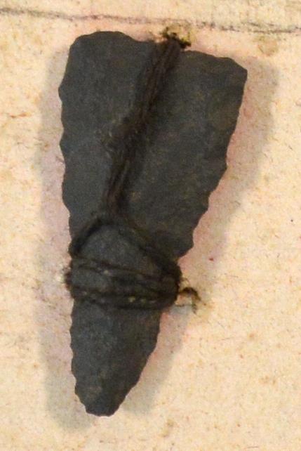 V C 7778