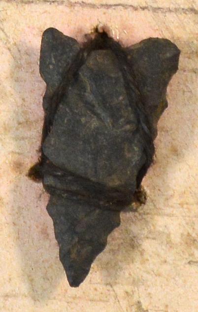 V C 7780