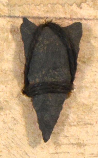 V C 7785