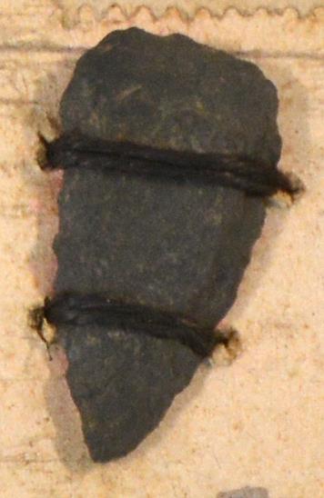 V C 7788