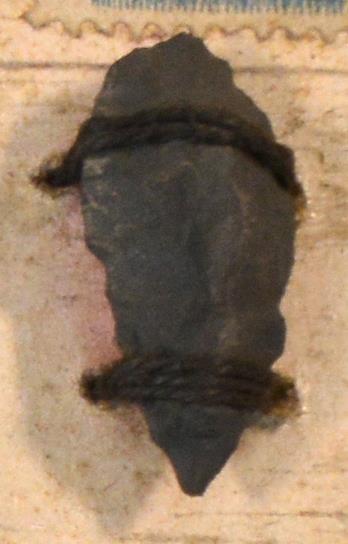 V C 7789