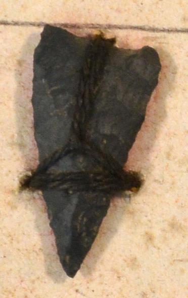 V C 7792