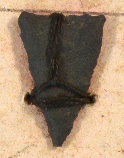 V C 7793