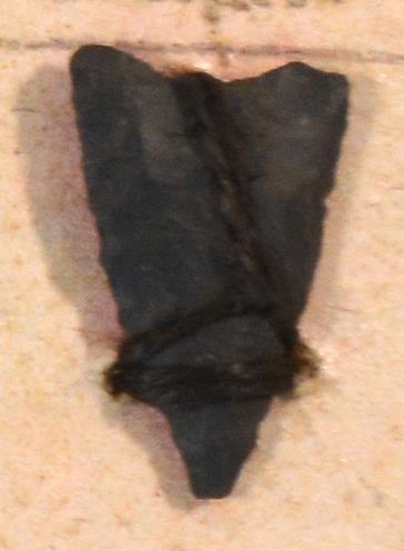 V C 7794