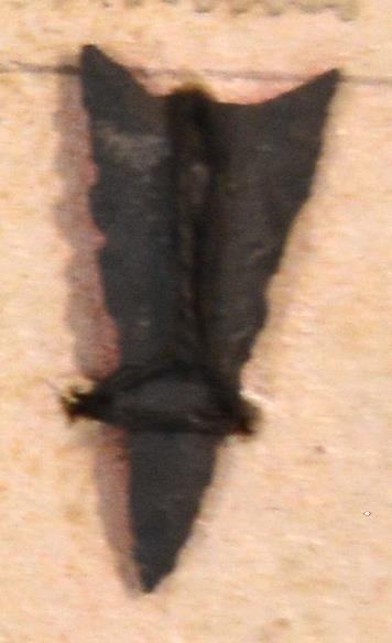 V C 7795