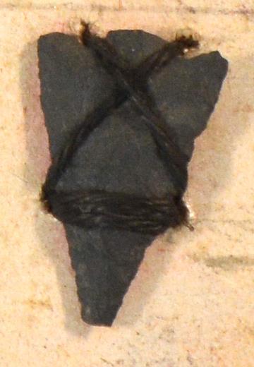 V C 7796
