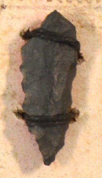 V C 7797