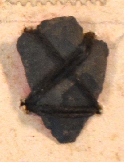 V C 7798