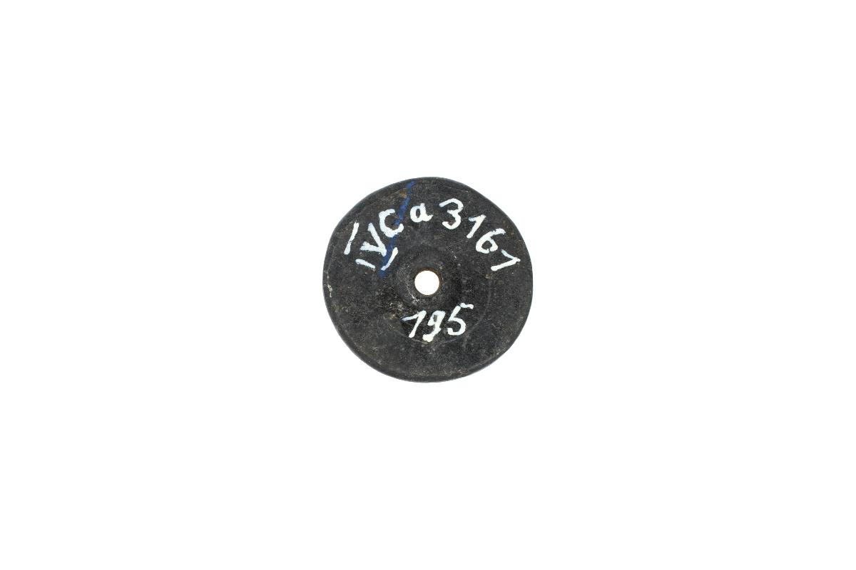 IV Ca 3161 (195)