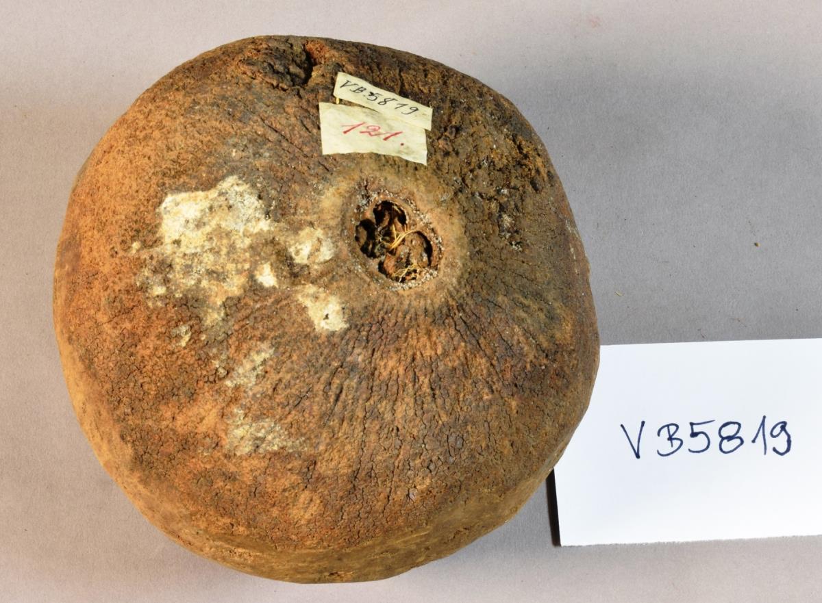 V B 5819