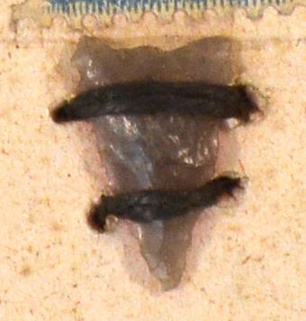 V C 7688