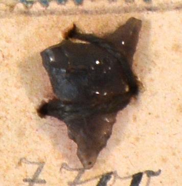 V C 7689