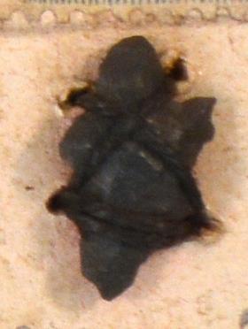 V C 7690