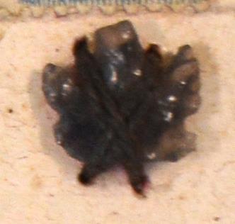 V C 7691