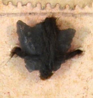 V C 7696