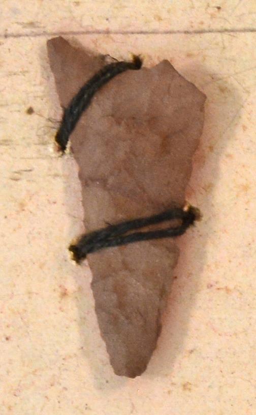 V C 7705