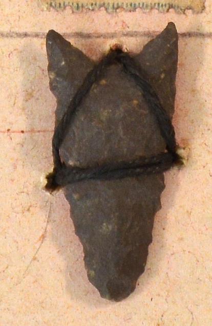 V C 7716