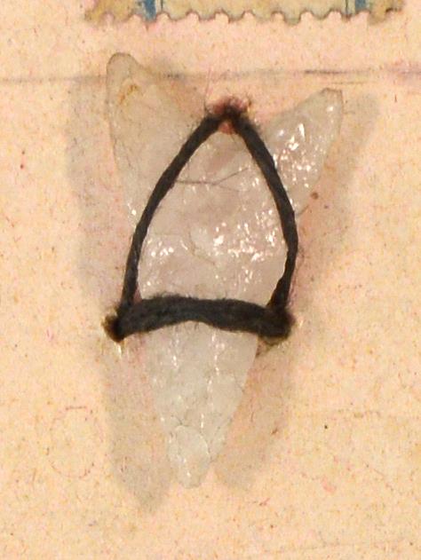 V C 7725