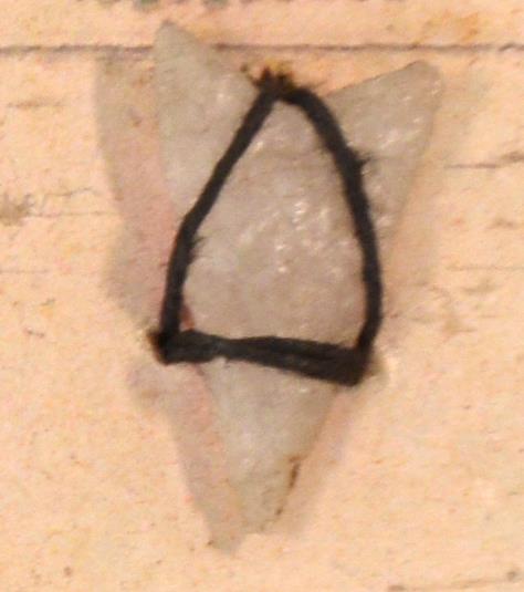 V C 7731