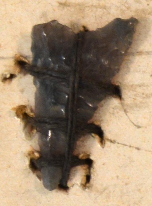 V C 7957